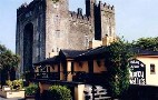 Bunratty Shannon Shamrock Hotel