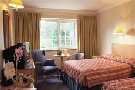 Killarney Avenue Hotel